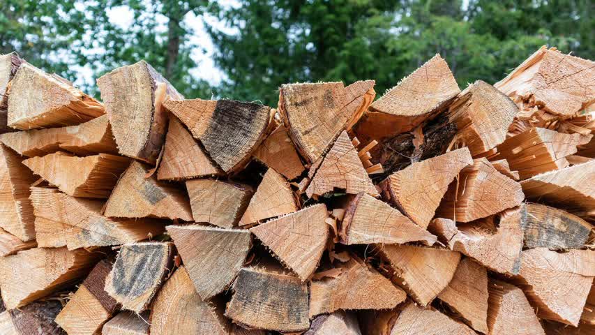 Фото - В Британии спрогнозировали рост спроса на дрова из-за «тяжелой зимы»
