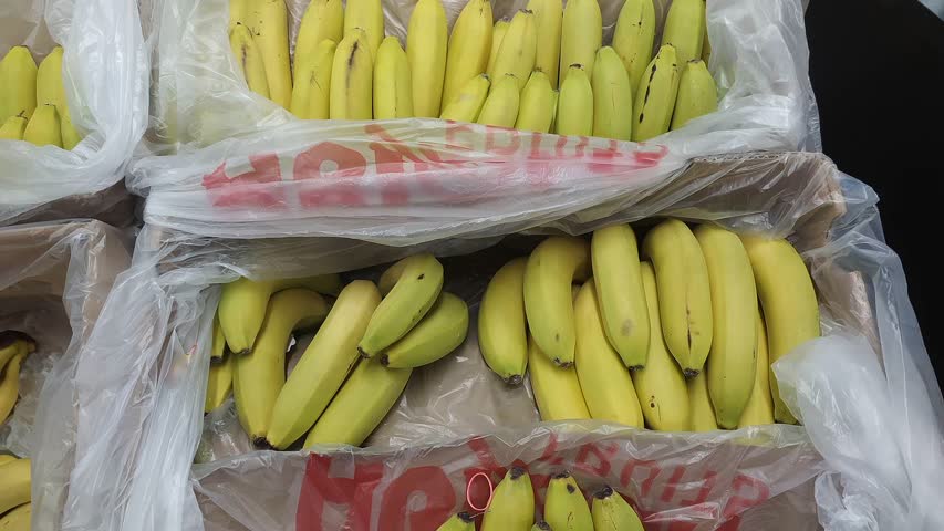 Фото - Россия недополучила миллионы ящиков бананов