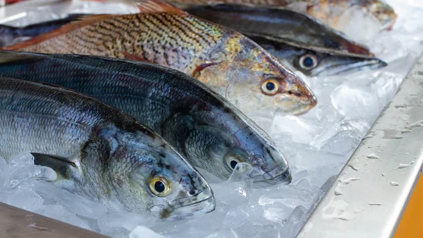 Фото - Российские компании предупредили о нехватке печей для рыбы